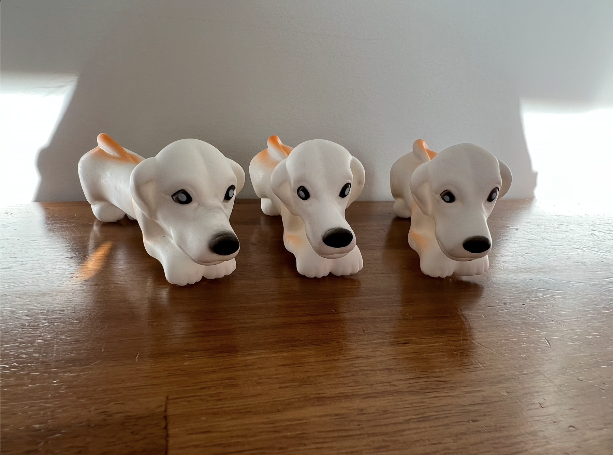 Life in the Outback Squeaky Long Dog Chew Toy - Fun Times for Furry Friends! ππ