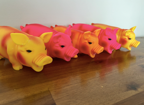 π·πΎ "Life in the Outback Oinktastic Squeaky Pig Chew Toy for Dogs" πΆπ