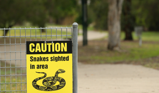 Pet Safety Around Snakes