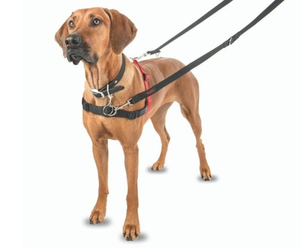 Company of Animals – Halti – Front Control Harness