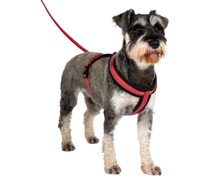 Company of Animals – Halti – Comfy Harness