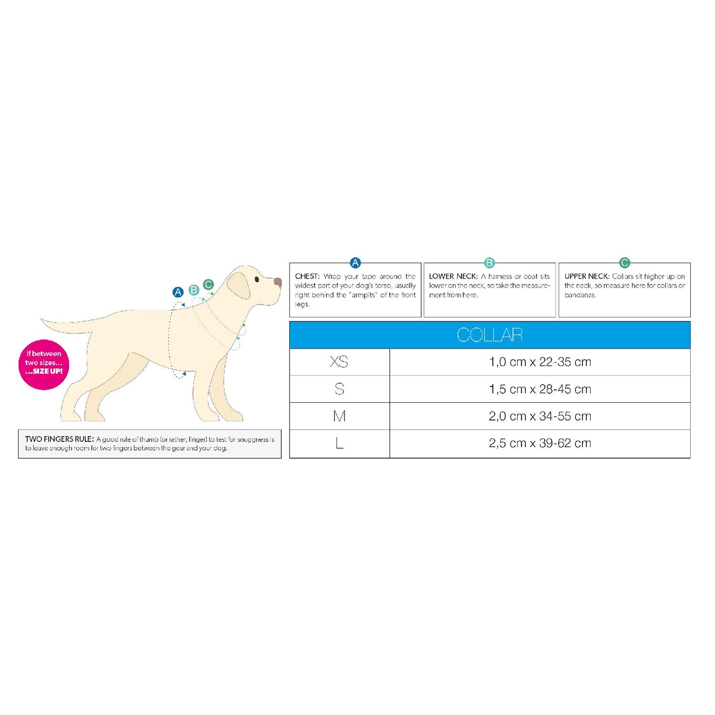 Max & Molly Smart ID Dog Collar - Ruler