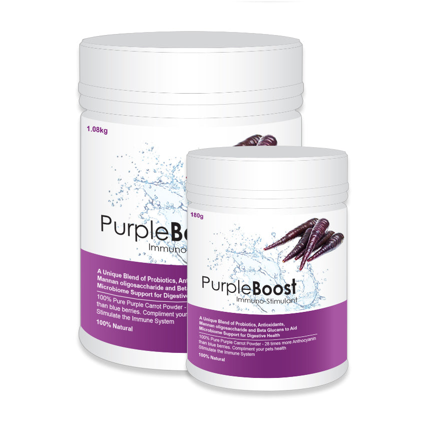 LifeWise - Purple Boost - Immuno-Stimulant