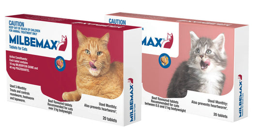 Milbemax All Wormer Beef-Flavoured Tablet for Small Cats under 2kg - 20 Pack