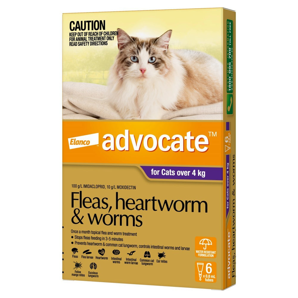 Advocate - Fleas, Heartworm & Worms - Cats over 4kg 6 pack