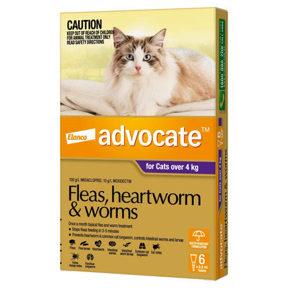 Advocate - Fleas, Heartworm & Worms - Cats over 4kg 6 pack