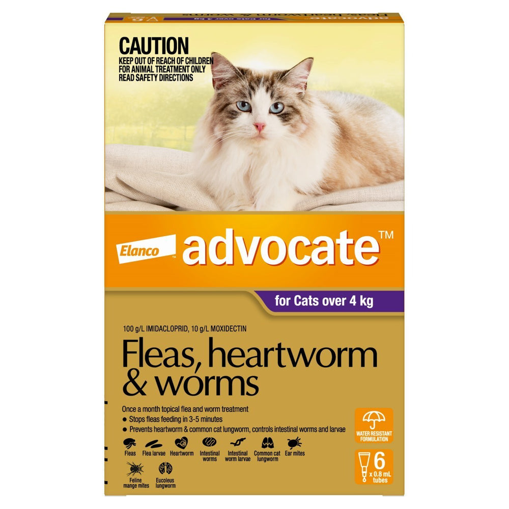 Advocate - Fleas, Heartworm & Worms - Cats over 4kg 6 pack