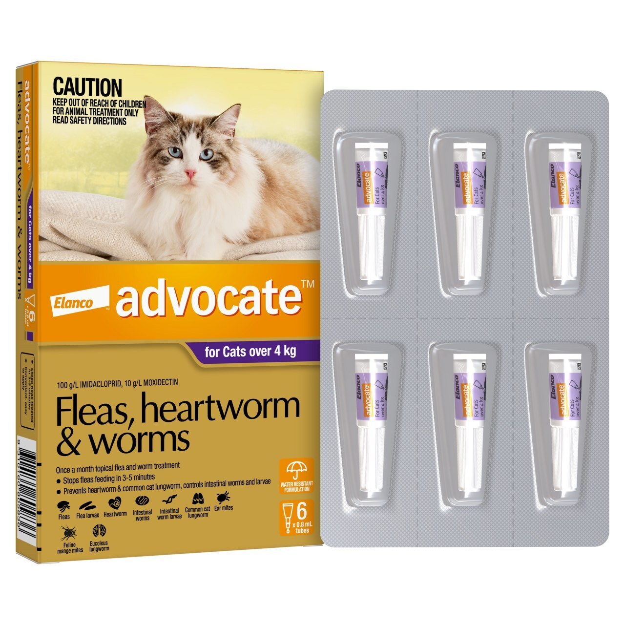 Advocate - Fleas, Heartworm & Worms - Cats over 4kg 6 pack