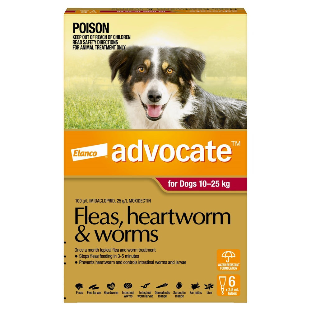 Advocate - Fleas, Heartworm & Worms - Dogs 10kg to 25kg 6 pack