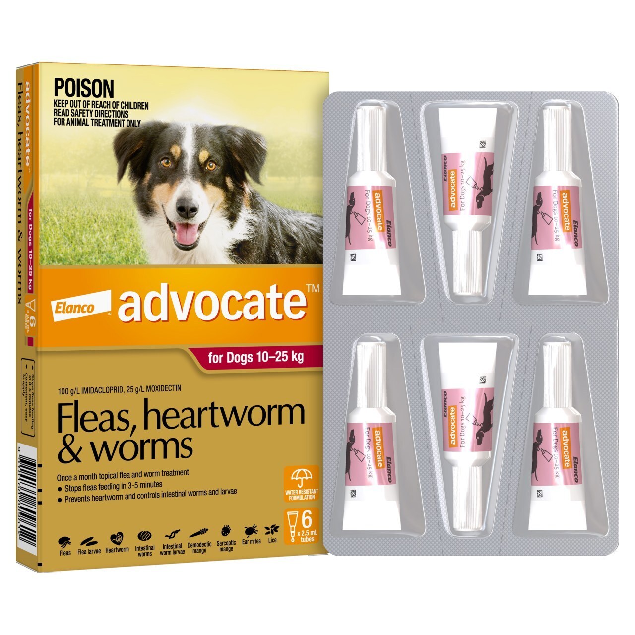 Advocate - Fleas, Heartworm & Worms - Dogs 10kg to 25kg 6 pack