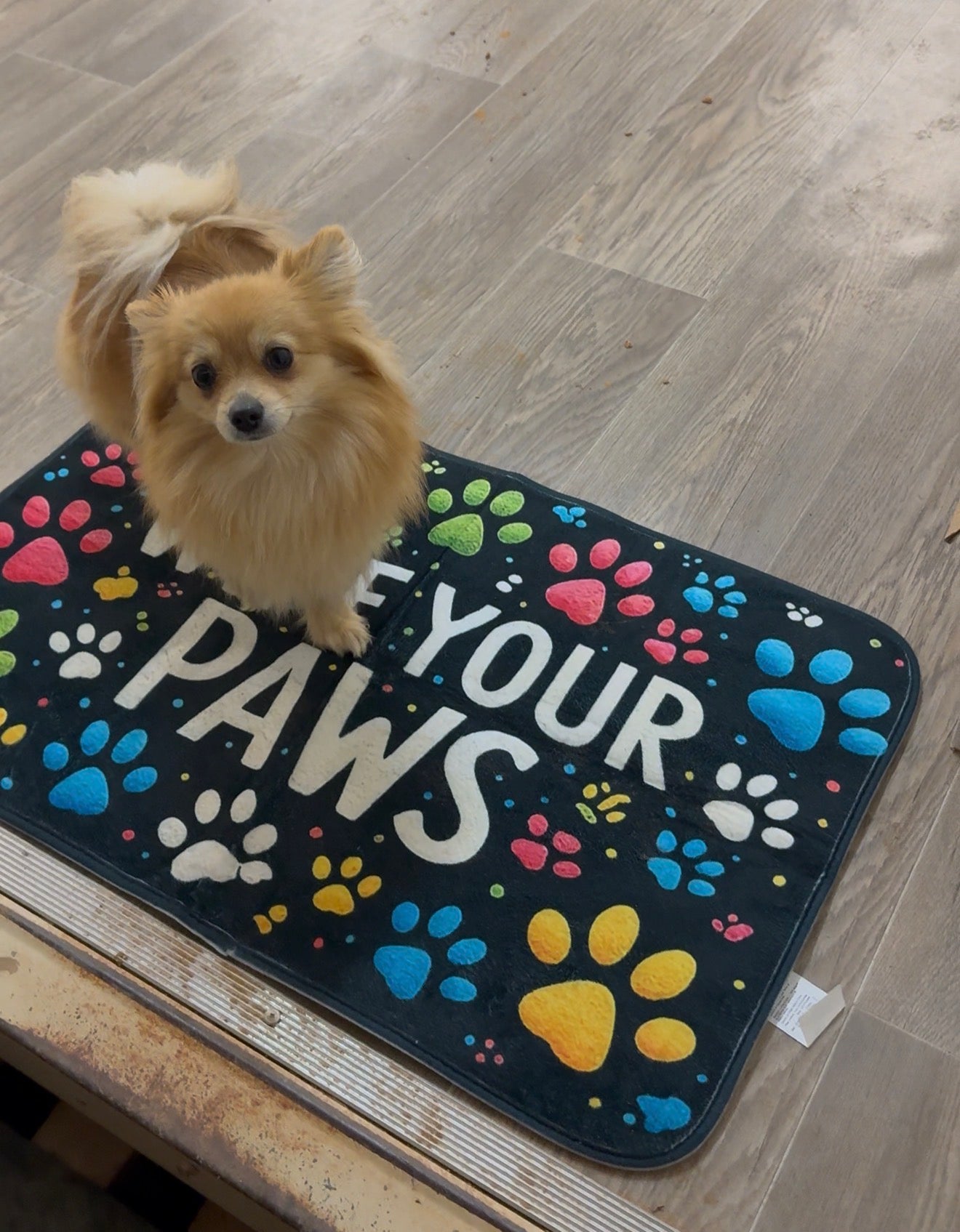 Wipe Your Paws Pet Doormat – Non-Slip, Washable Mat (2 Sizes Available)