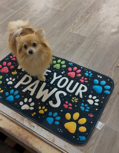Wipe Your Paws Pet Doormat – Non-Slip, Washable Mat (2 Sizes Available)
