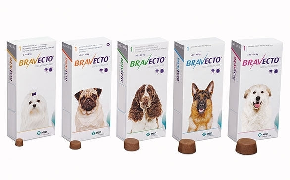 Bravecto Flea & Tick Control Chew - Yellow Pack for Very Small Dogs 2-4.5kg - Single Chew