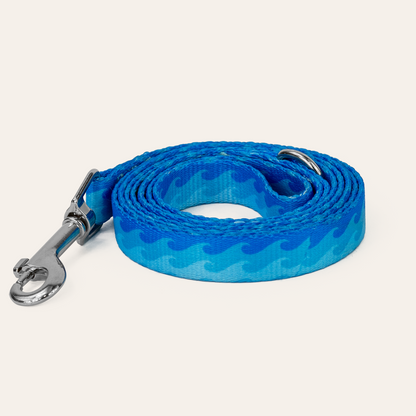 Dan & Sam – Dog Lead – Coastal