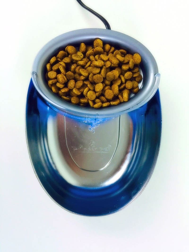 Pioneer Pet Stainless Steel and Plastic Water Food Bowl Drinking Fountain