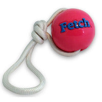 Planet Dog Orbee Tuff Fetch Ball Tough Dog Toy with Rope