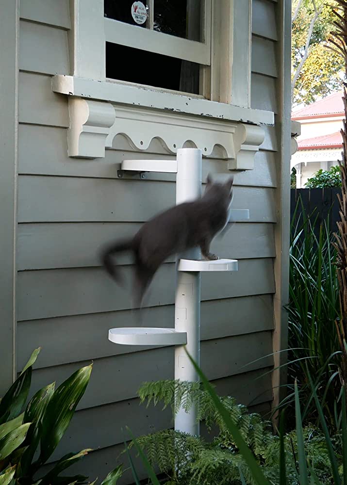 Monkee Tree - The Scalable Cat Climbing Ladder - 2 Step Kit