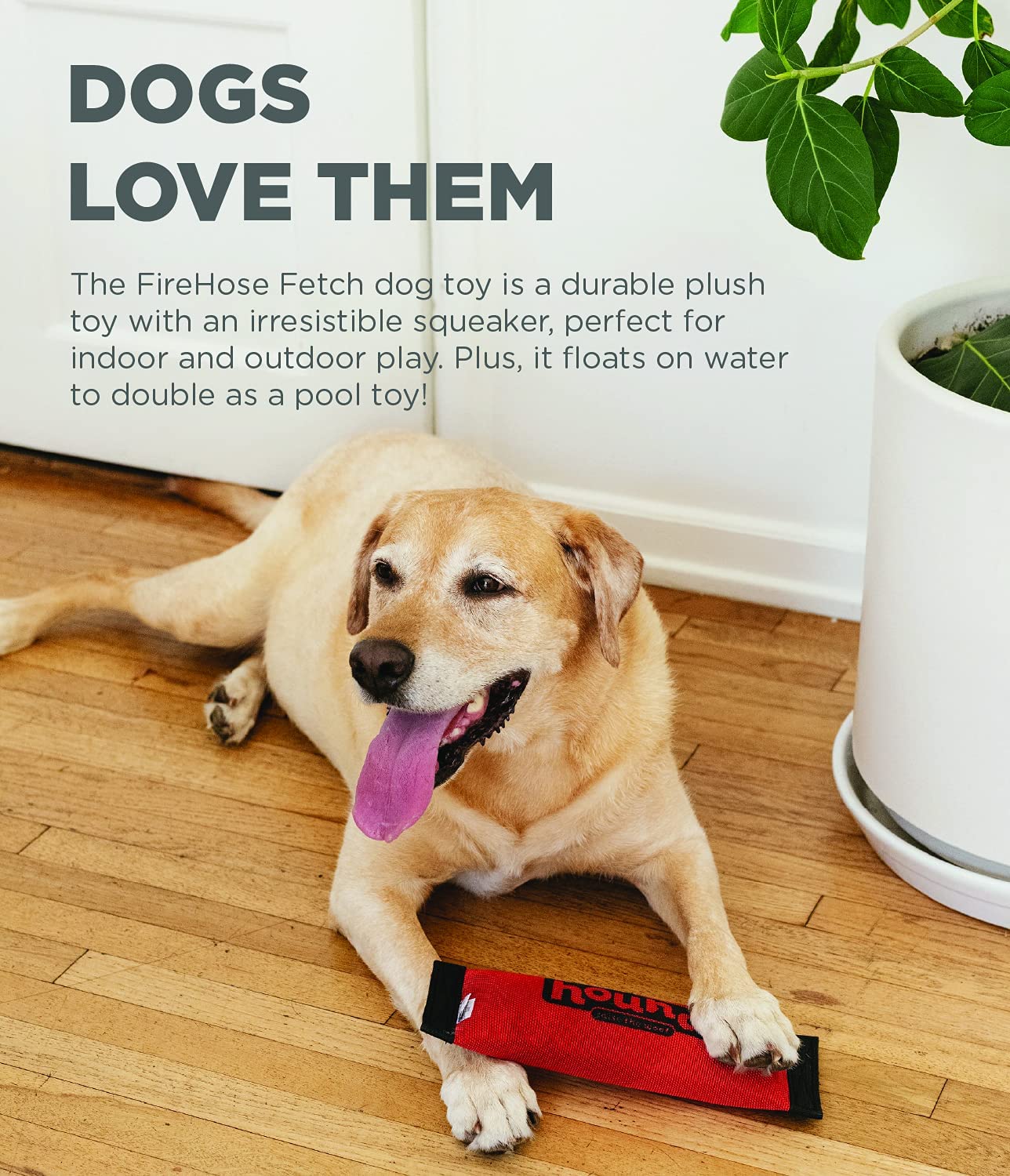 Outward Hound – Firehose Fetch