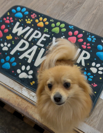 Wipe Your Paws Pet Doormat – Non-Slip, Washable Mat (2 Sizes Available)
