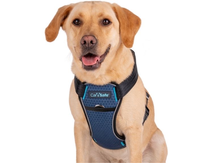 CarSafe – Crash Tested Harness – Blue