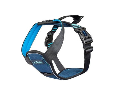 CarSafe – Crash Tested Harness – Blue