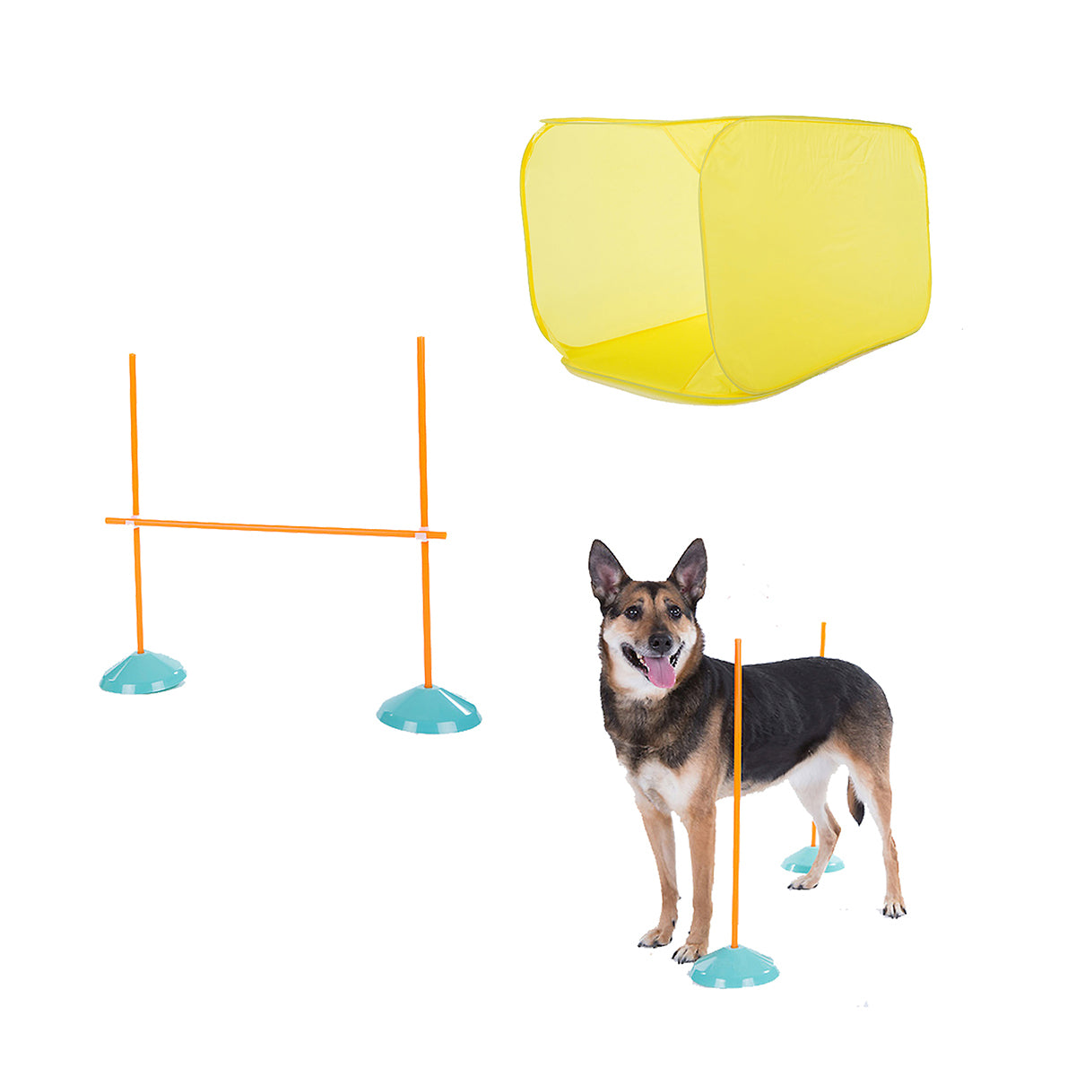 Outward Hound ZipZoom Indoor Agility Kit Dog Game – Life In The Outback