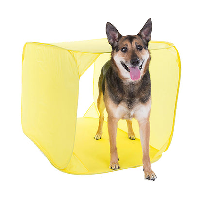 Outward Hound ZipZoom Indoor Agility Kit Dog Game