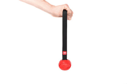 GiGwi – Go-Fetch – Slinger Ball