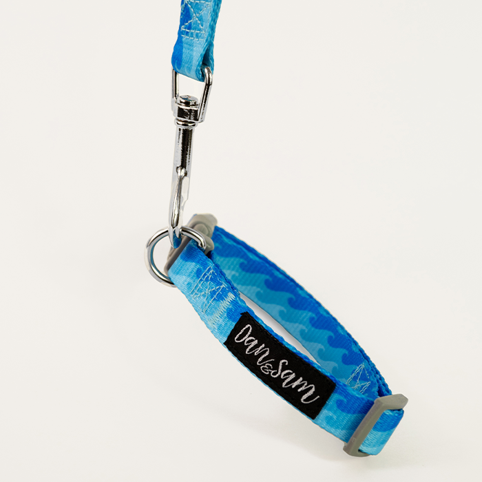 Dan & Sam – Dog Collar – Coastal