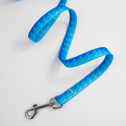 Dan & Sam – Dog Lead – Coastal