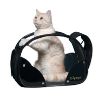 Ibiyaya Hard Rock Transparent Hardcase Pet Carrier