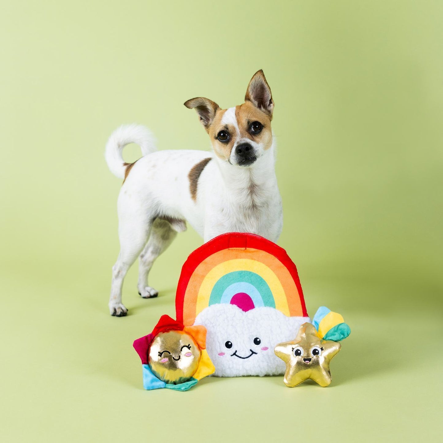 Fringe Studio Look On Bright Side Rainbow Hide & Seek Burrow Dog Toy