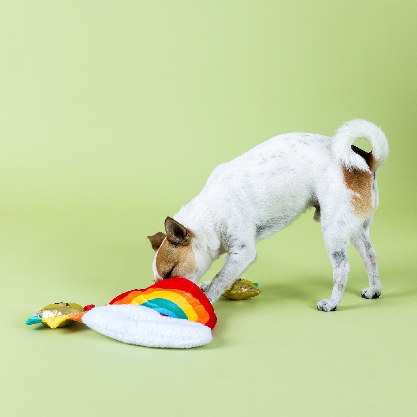 Fringe Studio Look On Bright Side Rainbow Hide & Seek Burrow Dog Toy