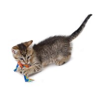 Petstages Dental Health Chews Cat Toys with Catnip