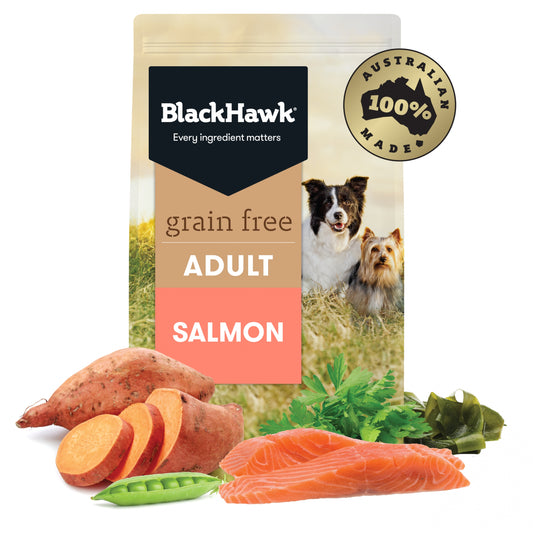 Black Hawk - GRAIN FREE - Holistic - Adult Dog - Salmon