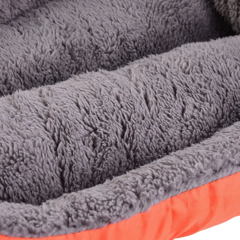 Life in the outback Vibrant Pawprint Dog Beds, the perfect blend of comfort and style for your cherished furry friend! 🐾🛏️🌈