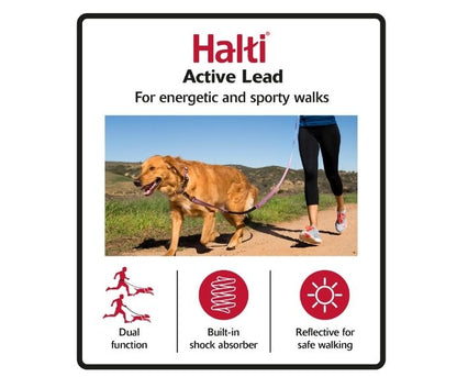 Company of Animals – Halti – Active Lead