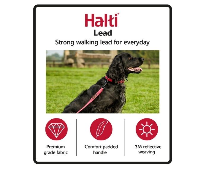 Company of Animals – Halti – Black Lead