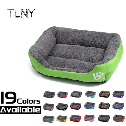 Life in the outback Vibrant Pawprint Dog Beds, the perfect blend of comfort and style for your cherished furry friend! 🐾🛏️🌈