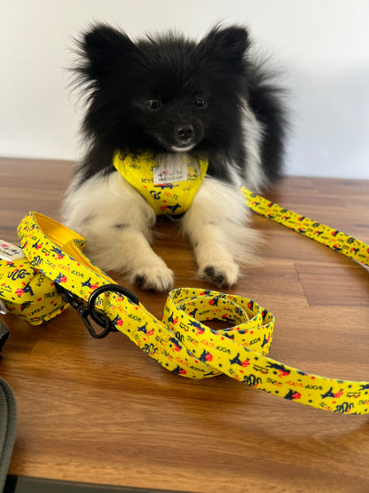 Life in Outback Slang Adventure Combo Pack: Harness, Leash, Collar & Poop Bag Set 🐾🇦🇺