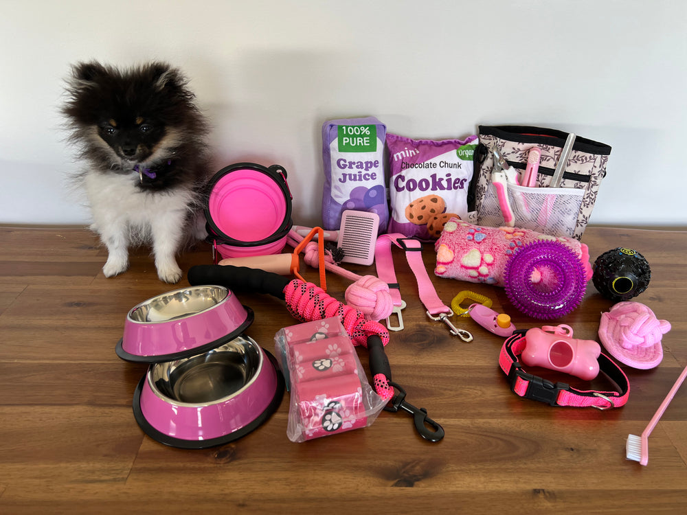 Life in the Outback Puppy Starter Kit - 31-Piece Pink Edition