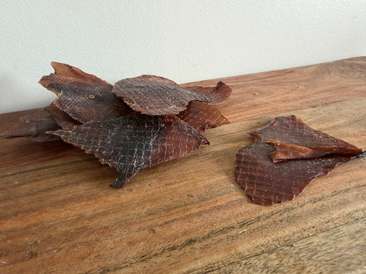 Just Calamari Chews (Tails)