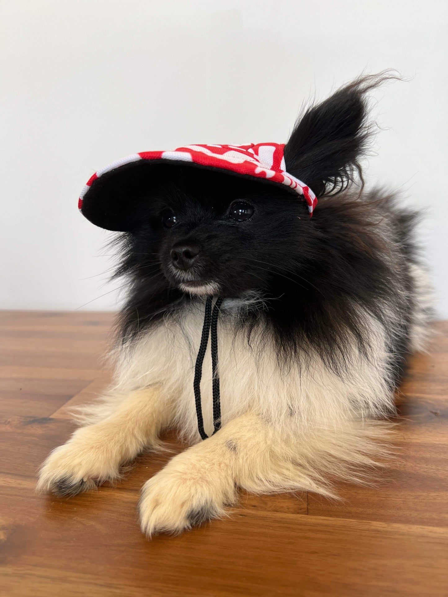 Life in the Outback: Stylish and Protective Pet Hats for Dogs and Cats of All Sizes