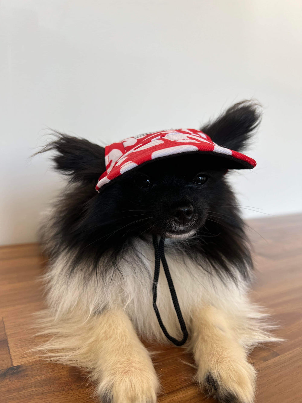 Life in the Outback: Stylish and Protective Pet Hats for Dogs and Cats of All Sizes