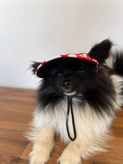 Life in the Outback: Stylish and Protective Pet Hats for Dogs and Cats of All Sizes