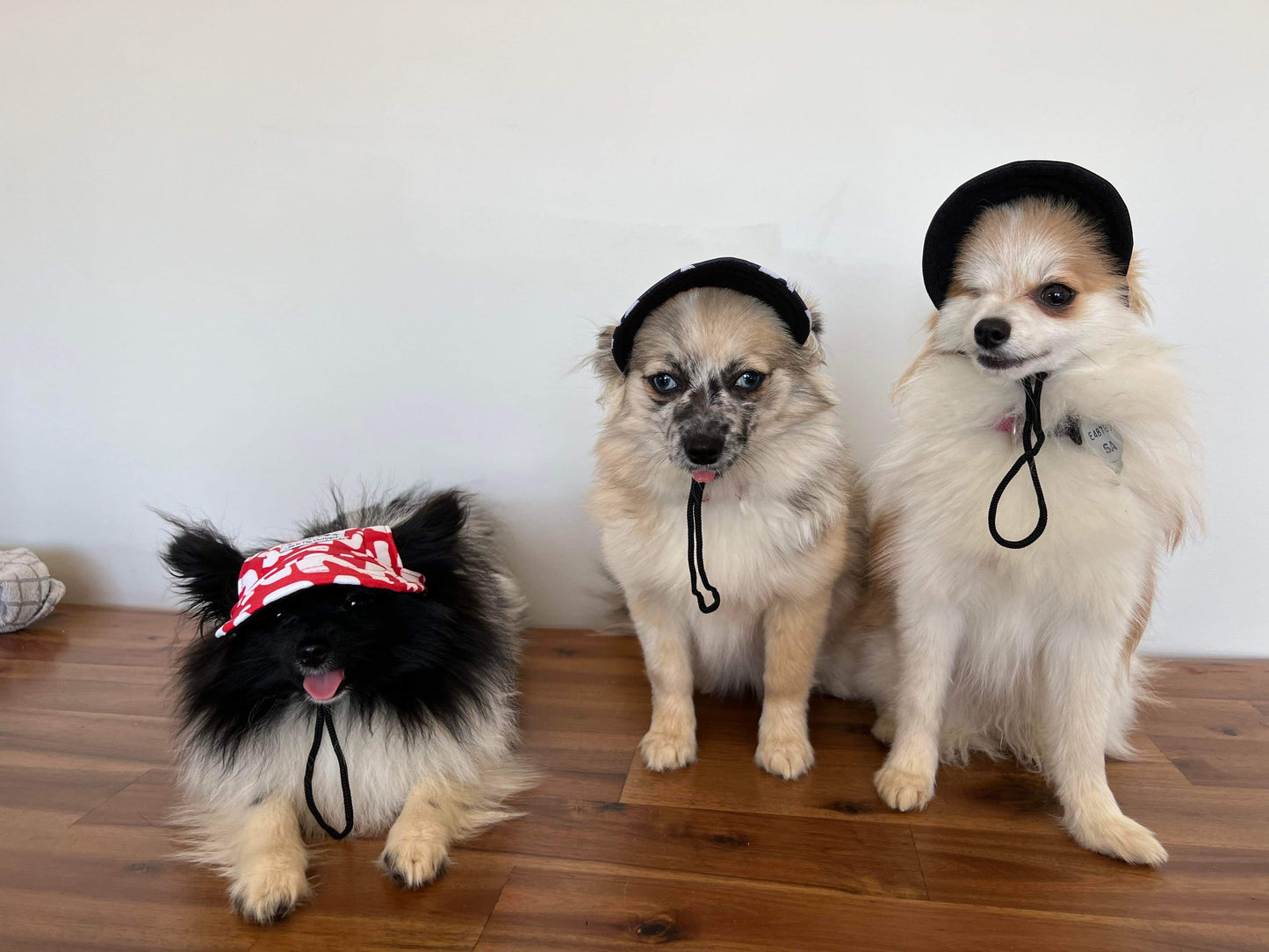 Life in the Outback: Stylish and Protective Pet Hats for Dogs and Cats of All Sizes