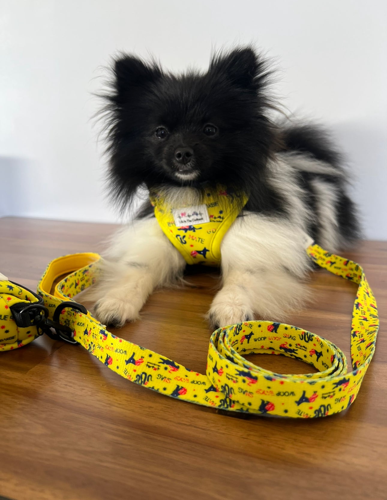 Life in Outback Slang Adventure Combo Pack: Harness, Leash, Collar & Poop Bag Set 🐾🇦🇺