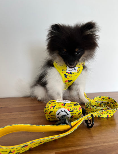 Life in Outback Slang Adventure Combo Pack: Harness, Leash, Collar & Poop Bag Set 🐾🇦🇺