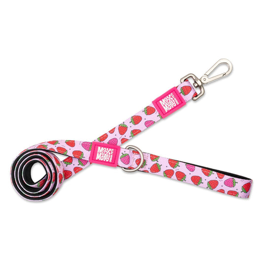 Max & Molly Dog Leash - Strawberries