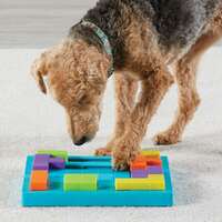 Brightkins Brain Teaser Interactive Dog Treat & Food Puzzle